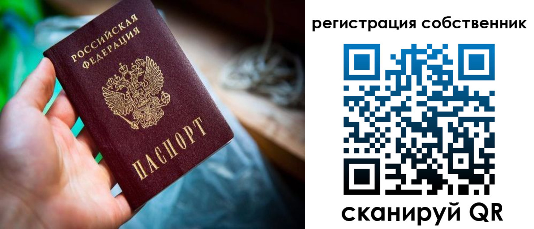 прописка гарантия в Нижних Сергах